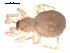  ( - 09PROBE-1978-396)  @13 [ ] CreativeCommons - Attribution (2009) Gergin Blagoev, Centre for Biodiversity Genomics Centre for Biodiversity Genomics