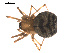  ( - 09PROBE-1978-41)  @13 [ ] CreativeCommons - Attribution (2010) Unspecified Centre for Biodiversity Genomics