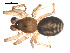  ( - 09PROBE-1978-419)  @13 [ ] CreativeCommons - Attribution (2009) Gergin Blagoev, Centre for Biodiversity Genomics Centre for Biodiversity Genomics