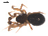  ( - 09PROBE-1978-421)  @12 [ ] CreativeCommons - Attribution (2009) Gergin Blagoev, Centre for Biodiversity Genomics Centre for Biodiversity Genomics