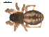  ( - 09PROBE-1978-438)  @13 [ ] CreativeCommons - Attribution (2009) Gergin Blagoev, Centre for Biodiversity Genomics Centre for Biodiversity Genomics