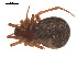  ( - 09PROBE-1978-444)  @12 [ ] CreativeCommons - Attribution (2009) Gergin Blagoev, Centre for Biodiversity Genomics Centre for Biodiversity Genomics