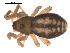  ( - 09PROBE-1978-456)  @13 [ ] CreativeCommons - Attribution (2009) Gergin Blagoev, Centre for Biodiversity Genomics Centre for Biodiversity Genomics