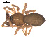  ( - 09PROBE-1978-507)  @13 [ ] CreativeCommons - Attribution (2009) Gergin Blagoev, Centre for Biodiversity Genomics Centre for Biodiversity Genomics
