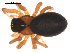 ( - 09PROBE-1978-51)  @13 [ ] CreativeCommons - Attribution (2010) Unspecified Centre for Biodiversity Genomics