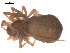  ( - 09PROBE-1978-513)  @12 [ ] CreativeCommons - Attribution (2009) Gergin Blagoev, Centre for Biodiversity Genomics Centre for Biodiversity Genomics