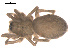  ( - 09PROBE-1978-552)  @13 [ ] CreativeCommons - Attribution (2009) Gergin Blagoev, Centre for Biodiversity Genomics Centre for Biodiversity Genomics