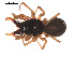 ( - 09PROBE-1978-62)  @13 [ ] CreativeCommons - Attribution (2010) Unspecified Centre for Biodiversity Genomics