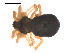  ( - 09PROBE-1978-80)  @13 [ ] CreativeCommons - Attribution (2010) Unspecified Centre for Biodiversity Genomics
