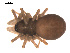  ( - 09PROBE-1978-82)  @12 [ ] CreativeCommons - Attribution (2010) Unspecified Centre for Biodiversity Genomics