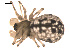  ( - 09PROBE-1978-86)  @12 [ ] CreativeCommons - Attribution (2010) Unspecified Centre for Biodiversity Genomics