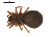 ( - 09PROBE-585)  @12 [ ] CreativeCommons - Attribution (2009) Gergin Blagoev, Centre for Biodiversity Genomics Centre for Biodiversity Genomics