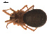  ( - 09PROBE-588)  @12 [ ] CreativeCommons - Attribution (2009) Gergin Blagoev, Centre for Biodiversity Genomics Centre for Biodiversity Genomics