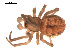  ( - 09PROBE-594)  @12 [ ] CreativeCommons - Attribution (2009) Gergin Blagoev, Centre for Biodiversity Genomics Centre for Biodiversity Genomics