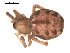  ( - 09PROBE-595)  @12 [ ] CreativeCommons - Attribution (2009) Gergin Blagoev, Centre for Biodiversity Genomics Centre for Biodiversity Genomics