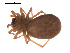  ( - 09PROBE-610)  @13 [ ] CreativeCommons - Attribution (2009) Gergin Blagoev, Centre for Biodiversity Genomics Centre for Biodiversity Genomics