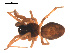  ( - 09PROBE-665)  @13 [ ] CreativeCommons - Attribution (2009) Gergin Blagoev, Centre for Biodiversity Genomics Centre for Biodiversity Genomics