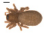  ( - 09PROBE-681)  @13 [ ] CreativeCommons - Attribution (2009) Gergin Blagoev, Centre for Biodiversity Genomics Centre for Biodiversity Genomics