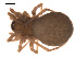  ( - 09PROBE-683)  @13 [ ] CreativeCommons - Attribution (2009) Gergin Blagoev, Centre for Biodiversity Genomics Centre for Biodiversity Genomics
