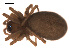  ( - 09PROBE-686)  @13 [ ] CreativeCommons - Attribution (2009) Gergin Blagoev, Centre for Biodiversity Genomics Centre for Biodiversity Genomics