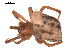  ( - 09PROBE-689)  @12 [ ] CreativeCommons - Attribution (2009) Gergin Blagoev, Centre for Biodiversity Genomics Centre for Biodiversity Genomics