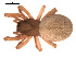  ( - 09PROBE-696)  @13 [ ] CreativeCommons - Attribution (2009) Gergin Blagoev, Centre for Biodiversity Genomics Centre for Biodiversity Genomics
