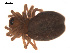  ( - 09PROBE-733)  @12 [ ] CreativeCommons - Attribution (2009) Gergin Blagoev, Centre for Biodiversity Genomics Centre for Biodiversity Genomics