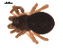  ( - 09PROBE-743)  @12 [ ] CreativeCommons - Attribution (2009) Gergin Blagoev, Centre for Biodiversity Genomics Centre for Biodiversity Genomics