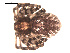  ( - 09PROBE-783)  @13 [ ] CreativeCommons - Attribution (2009) Gergin Blagoev, Centre for Biodiversity Genomics Centre for Biodiversity Genomics