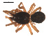  ( - 09PROBE-792)  @12 [ ] CreativeCommons - Attribution (2009) Gergin Blagoev, Centre for Biodiversity Genomics Centre for Biodiversity Genomics