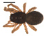  ( - 09PROBE-795)  @13 [ ] CreativeCommons - Attribution (2009) Gergin Blagoev, Centre for Biodiversity Genomics Centre for Biodiversity Genomics