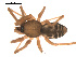  ( - 09PROBE-800)  @13 [ ] CreativeCommons - Attribution (2009) Gergin Blagoev, Centre for Biodiversity Genomics Centre for Biodiversity Genomics