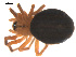  ( - 09PROBE-843)  @12 [ ] CreativeCommons - Attribution (2009) Gergin Blagoev, Centre for Biodiversity Genomics Centre for Biodiversity Genomics