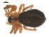  ( - 09PROBE-851)  @12 [ ] CreativeCommons - Attribution (2009) Gergin Blagoev, Centre for Biodiversity Genomics Centre for Biodiversity Genomics