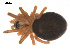  ( - 09PROBE-853)  @12 [ ] CreativeCommons - Attribution (2009) Gergin Blagoev, Centre for Biodiversity Genomics Centre for Biodiversity Genomics