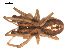  ( - 09PROBE-859)  @12 [ ] CreativeCommons - Attribution (2009) Gergin Blagoev, Centre for Biodiversity Genomics Centre for Biodiversity Genomics