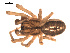  ( - 09PROBE-860)  @13 [ ] CreativeCommons - Attribution (2009) Gergin Blagoev, Centre for Biodiversity Genomics Centre for Biodiversity Genomics