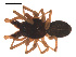  ( - 09PROBE-864)  @13 [ ] CreativeCommons - Attribution (2009) Gergin Blagoev, Centre for Biodiversity Genomics Centre for Biodiversity Genomics
