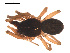  ( - 09PROBE-865)  @12 [ ] CreativeCommons - Attribution (2009) Gergin Blagoev, Centre for Biodiversity Genomics Centre for Biodiversity Genomics