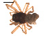  ( - 09PROBE-867)  @13 [ ] CreativeCommons - Attribution (2009) Gergin Blagoev, Centre for Biodiversity Genomics Centre for Biodiversity Genomics