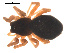  ( - 09PROBE-870)  @12 [ ] CreativeCommons - Attribution (2009) Gergin Blagoev, Centre for Biodiversity Genomics Centre for Biodiversity Genomics