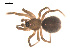  ( - 09PROBE-874)  @12 [ ] CreativeCommons - Attribution (2009) Gergin Blagoev, Centre for Biodiversity Genomics Centre for Biodiversity Genomics