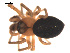 ( - 09PROBE-888)  @12 [ ] CreativeCommons - Attribution (2009) Gergin Blagoev, Centre for Biodiversity Genomics Centre for Biodiversity Genomics