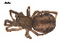  ( - 09PROBE-903)  @12 [ ] CreativeCommons - Attribution (2009) Gergin Blagoev, Centre for Biodiversity Genomics Centre for Biodiversity Genomics