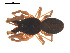  ( - 09PROBE-931)  @13 [ ] CreativeCommons - Attribution (2009) Gergin Blagoev, Centre for Biodiversity Genomics Centre for Biodiversity Genomics
