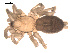  ( - 09PROBE-941)  @13 [ ] CreativeCommons - Attribution (2009) Gergin Blagoev, Centre for Biodiversity Genomics Centre for Biodiversity Genomics