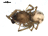  ( - BIOUG00517-G10)  @13 [ ] Copyright  G. Blagoev 2010 Unspecified