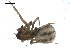  ( - BIOUG00517-G12)  @12 [ ] Copyright  G. Blagoev 2010 Unspecified