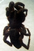  ( - CCDB-13330-G02)  @12 [ ] Copyright  E. Kuzmin 2011 Unspecified