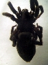  ( - CCDB-13330-C03)  @12 [ ] Copyright  E. Kuzmin 2011 Unspecified